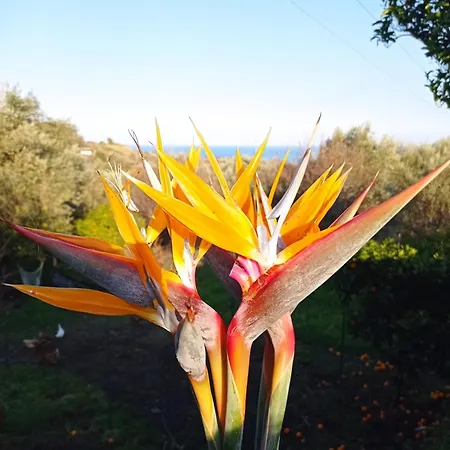 Ai Tre Desideri La Casita Aci Castello