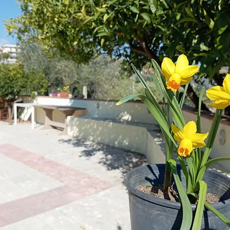 Dom wakacyjny Ai Tre Desideri La Casita
