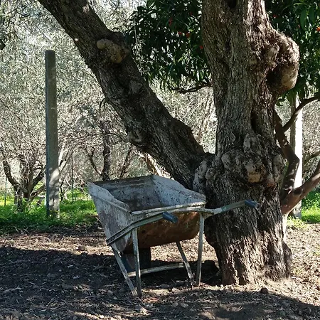 Ai Tre Desideri La Casita Holiday home *